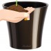 Santino Self Watering Planter Arte 5.3 inch Black-Gold/Black   564101617